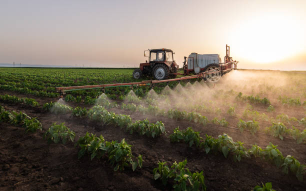 Professional Pest Control in Waskom, TX