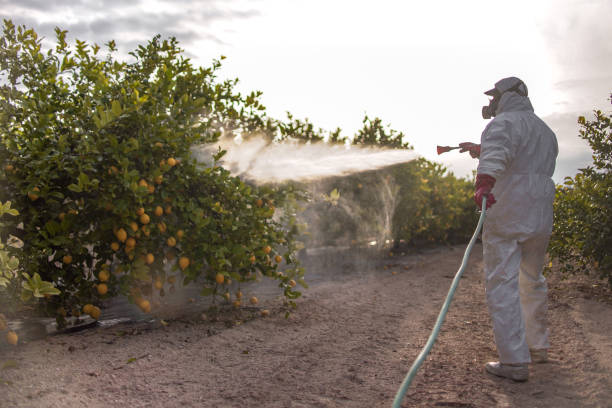 Best Pest Control for Restaurants  in Waskom, TX