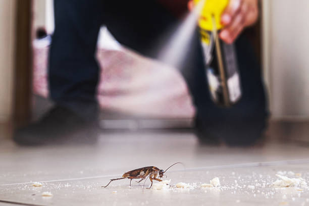 Best Exterminator Services  in Waskom, TX
