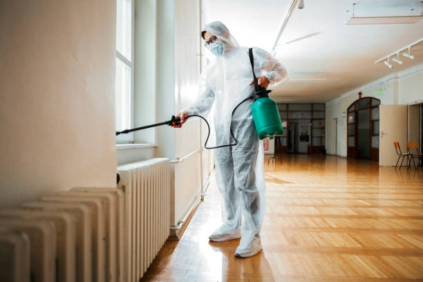 Wasp Removal Services in Waskom, TX