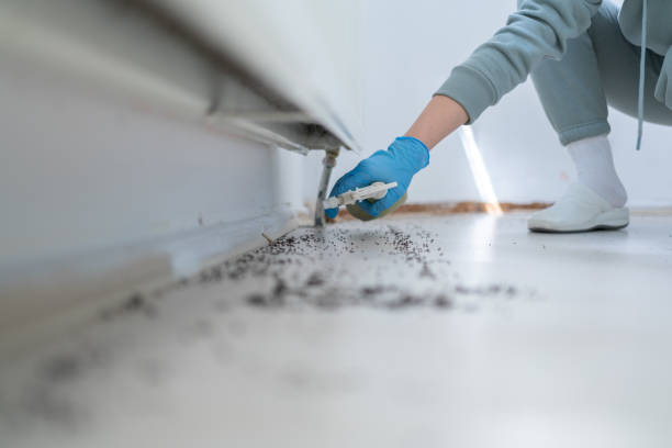 Best Commercial Pest Control Services  in Waskom, TX
