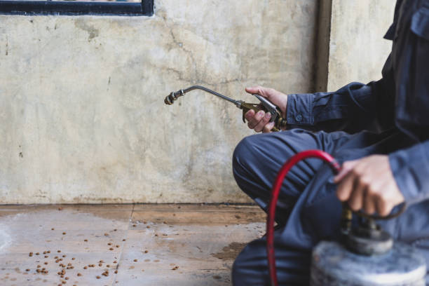 Best Residential Pest Control  in Waskom, TX