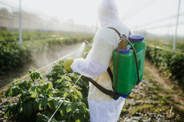 Best Pest Control Treatment  in Waskom, TX